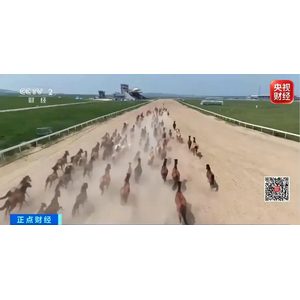 分享缩略图